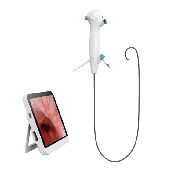Respiratory endoscope - Disposable electronic bronchial endoscope