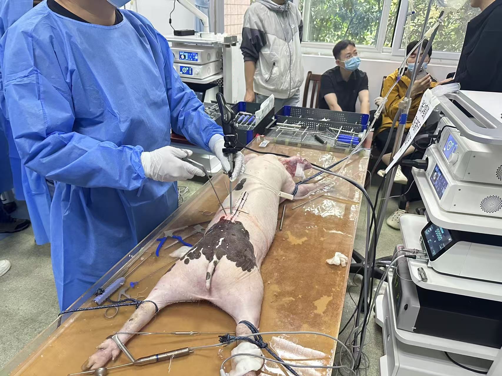 UBE 수술 실전 훈련-안후이 Zone